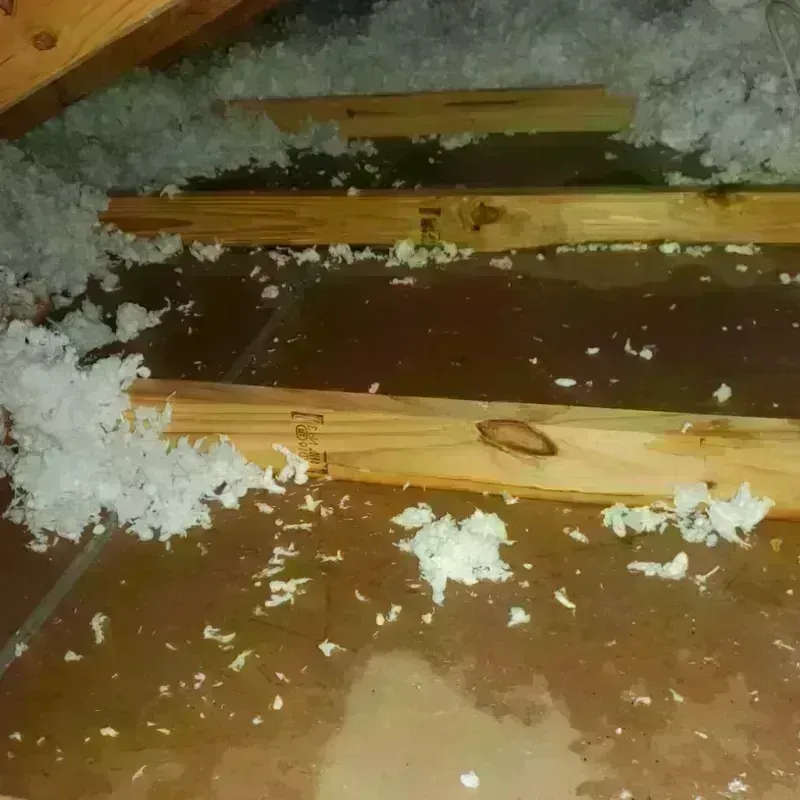 Attic Water Damage in Ritchie County, WV